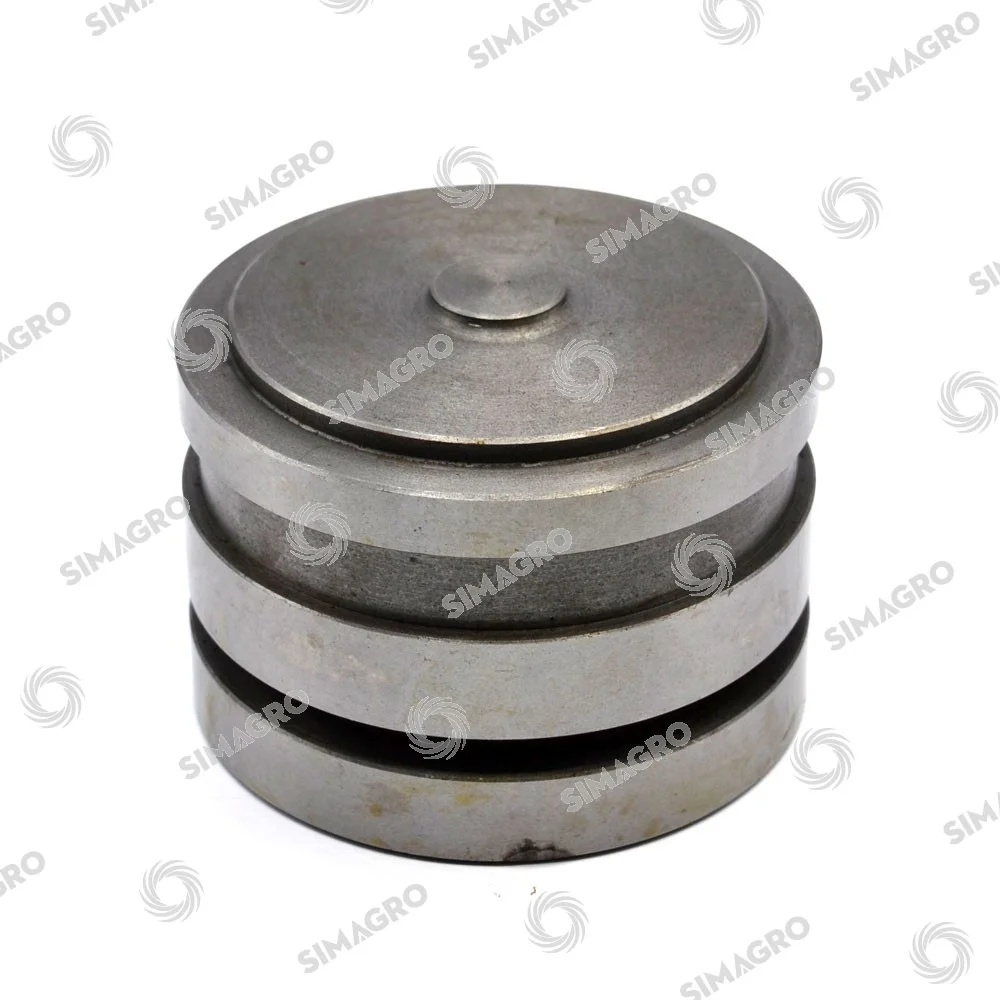 Pistón de cilindro hidráulico Massey F./Landini – Sparex
